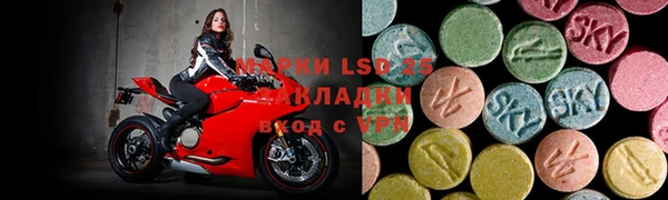 индика Касимов