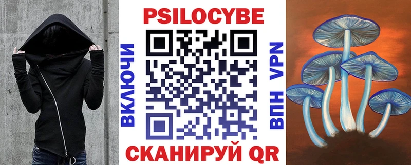 Купить где  Руза  Псилоцибиновые грибы Cubensis 